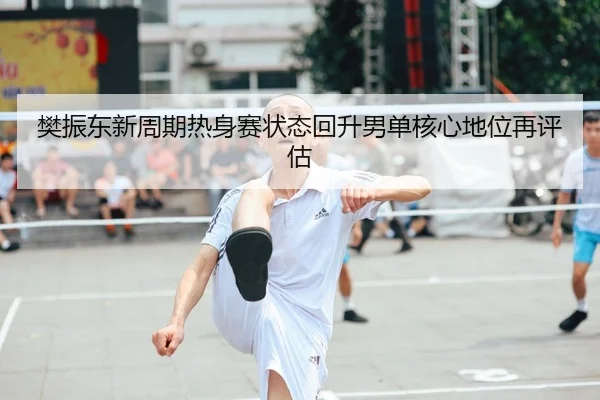 樊振东新周期热身赛状态回升男单核心地位再评估