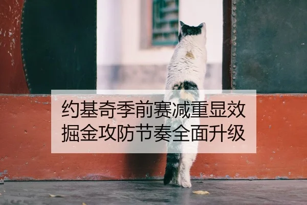 约基奇季前赛减重显效 掘金攻防节奏全面升级
